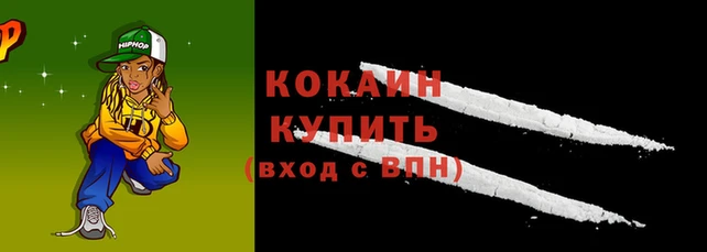 дурь Володарск