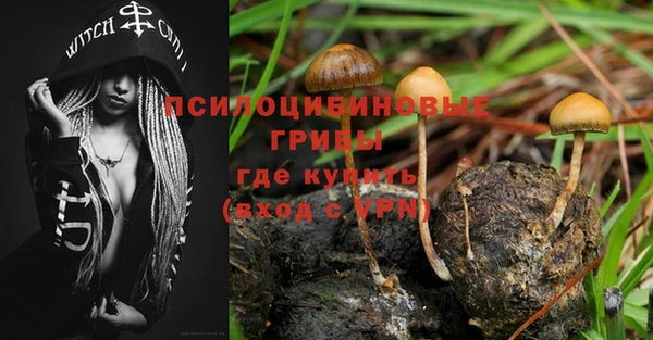бошки Волосово