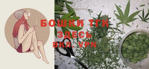 дурь Володарск