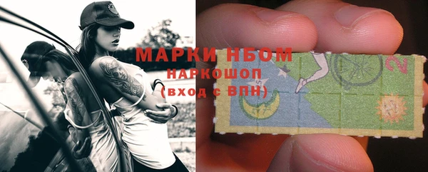 стаф Горняк