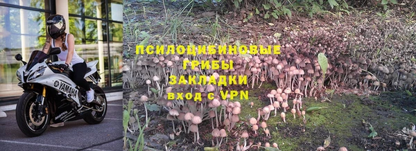прущий лед Бронницы
