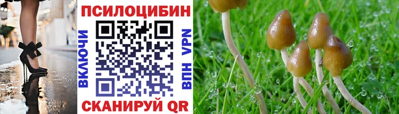 Галлюциногенные грибы ЛСД Жердевка