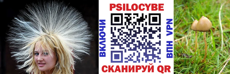 Псилоцибиновые грибы GOLDEN TEACHER  Жердевка 
